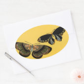 ヴィンテージ日本の蝶 – ステッカー (封筒)