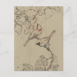 ヴィンテージ日本の鳥画像 ポストカード