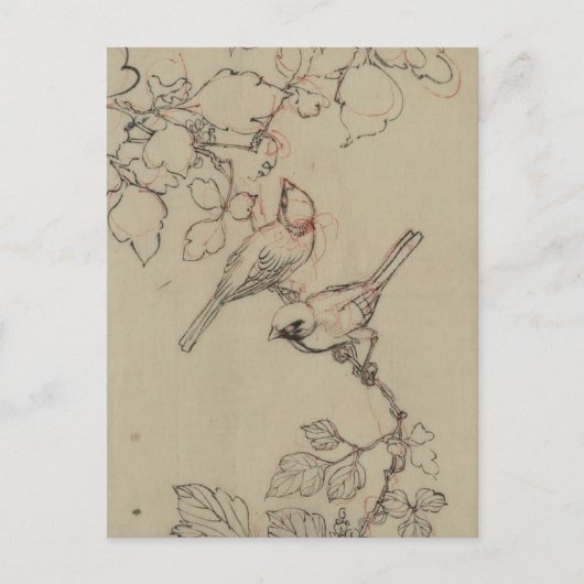 ヴィンテージ日本の鳥画像 ポストカード (正面)