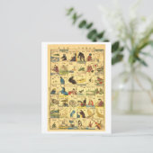 ヴィンテージ日本の – 英語翻訳グラフ ポストカード (スタンド正面)