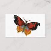 ヴィンテージ昆虫や昆虫、美しい蝶 名刺 (裏面)