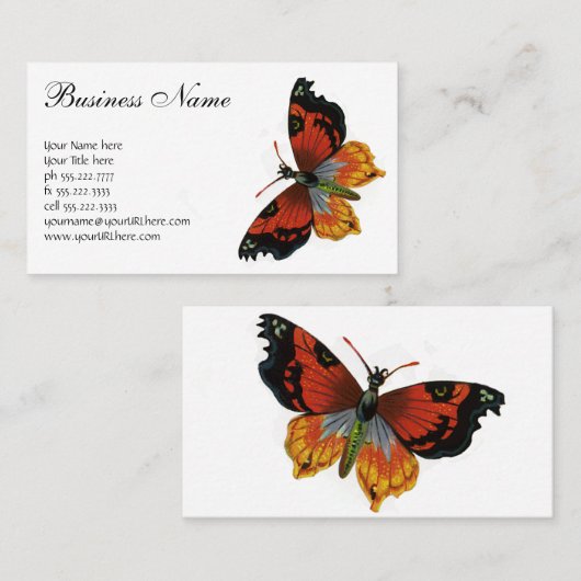 ヴィンテージ昆虫や昆虫、美しい蝶 名刺 (正面/裏面)
