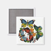 ヴィンテージ昆虫や虫、美しい蝶 マグネット (正面/裏面)