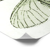 ヴィンテージ昆虫昆虫昆虫昆虫学バグイラストレーション ポスター (角)