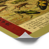 ヴィンテージ昆虫甲虫自然史プリント ポスター (角)