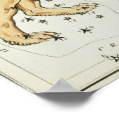 ヴィンテージ星座イラストレーション ポスター (角)