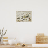 ヴィンテージ星座イラストレーション ポスター (キッチン)