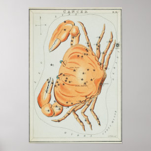 ヴィンテージ星座イラストレーション ポスター