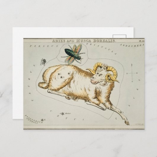 ヴィンテージ星座イラストレーション ポストカード (正面/裏面)