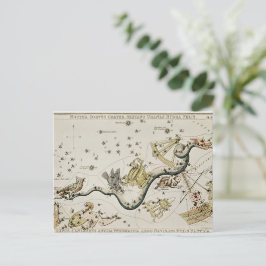 ヴィンテージ星座イラストレーション ポストカード (スタンド正面)