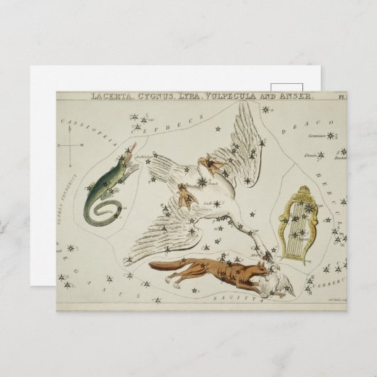 ヴィンテージ星座イラストレーション ポストカード (正面/裏面)
