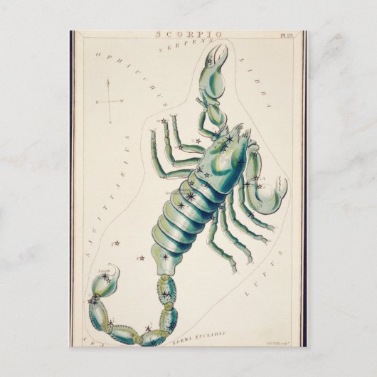 ヴィンテージ星座イラストレーション ポストカード (正面)