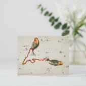 ヴィンテージ星座イラストレーション ポストカード (スタンド正面)