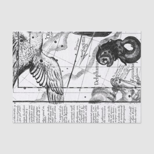 ヴィンテージ星座天文学 薄葉紙 (正面)