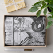 ヴィンテージ星座天文学 薄葉紙 (ギフト)