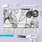 ヴィンテージ星座天文学 薄葉紙 (クラフト)