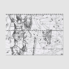 ヴィンテージ星星座 薄葉紙