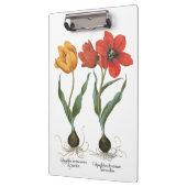 ヴィンテージ春チューリップフラワーズバイバシリウスベスラー クリップボード (左)