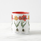 ヴィンテージ春チューリップフラワーズバイバシリウスベスラー マグカップ (中央)