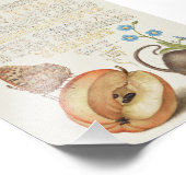 ヴィンテージ書プリントマウスと梨 フォトプリント            (角)