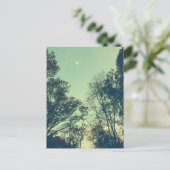 ヴィンテージ月夜 ポストカード (スタンド正面)