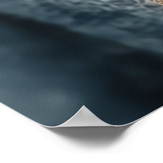 ヴィンテージ服を着たScholarly Toad ポスター (角)