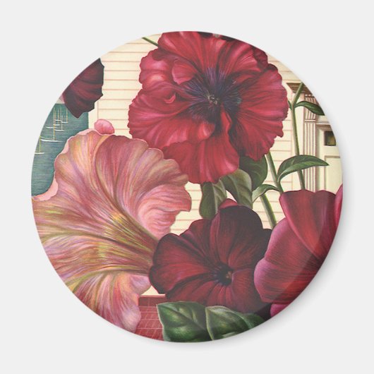 ヴィンテージ朝顔の花が庭に マグネット (正面)