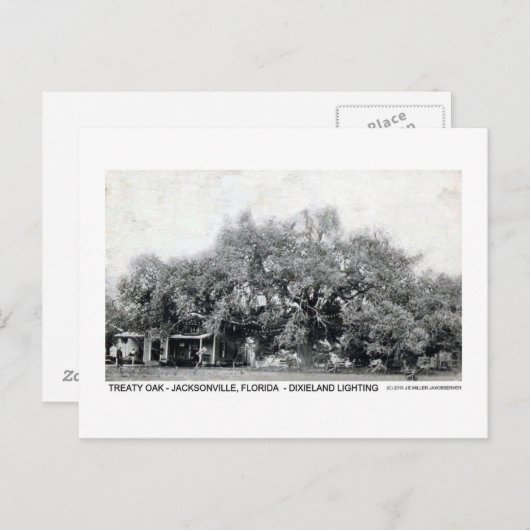 ヴィンテージ条約オークジャクソンビルフロリダポストカード ポストカード (正面/裏面)