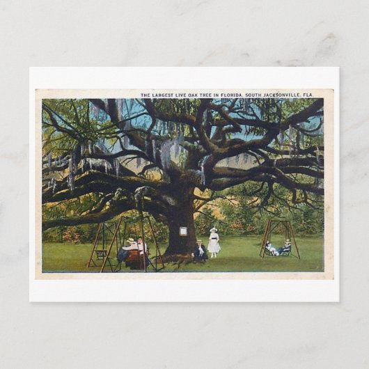 ヴィンテージ条約オークジャクソンビルフロリダポストカード ポストカード (正面)