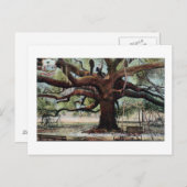 ヴィンテージ条約オークジャクソンビルフロリダポストカード ポストカード (正面/裏面)