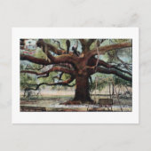 ヴィンテージ条約オークジャクソンビルフロリダポストカード ポストカード (正面)