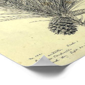 ヴィンテージ松の枝ポスター ポスター (角)