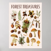ヴィンテージ松の森の宝物グラフウォールアート ポスター (正面)