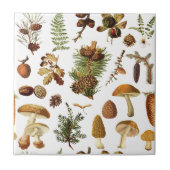 ヴィンテージ松の森の宝物シームレスなパターン タイル (正面)