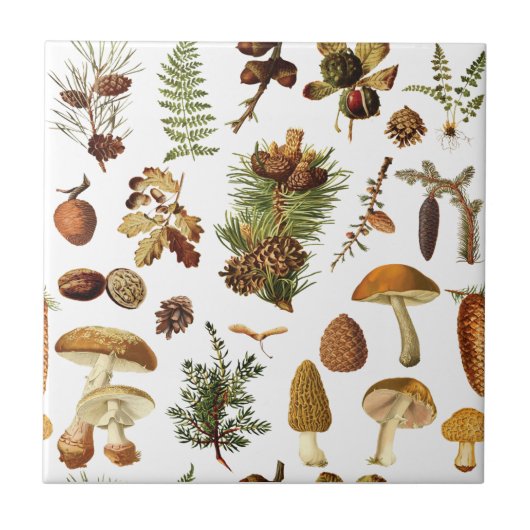 ヴィンテージ松の森の宝物シームレスなパターン タイル (正面)