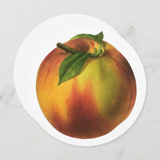 ヴィンテージ果実熟オーガニック桃 (正面/裏面)