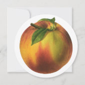 ヴィンテージ果実熟オーガニック桃 (正面)