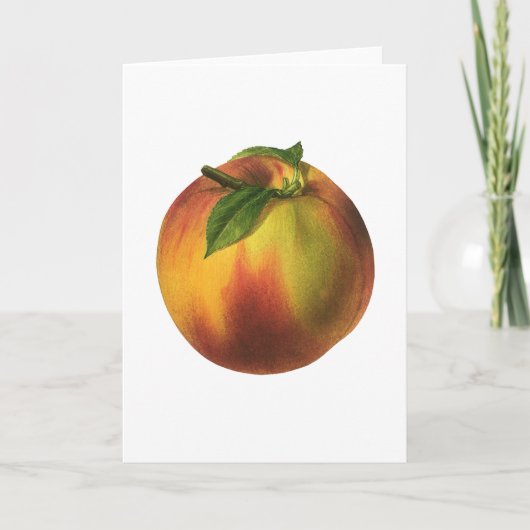 ヴィンテージ果実熟オーガニック桃 カード (正面)
