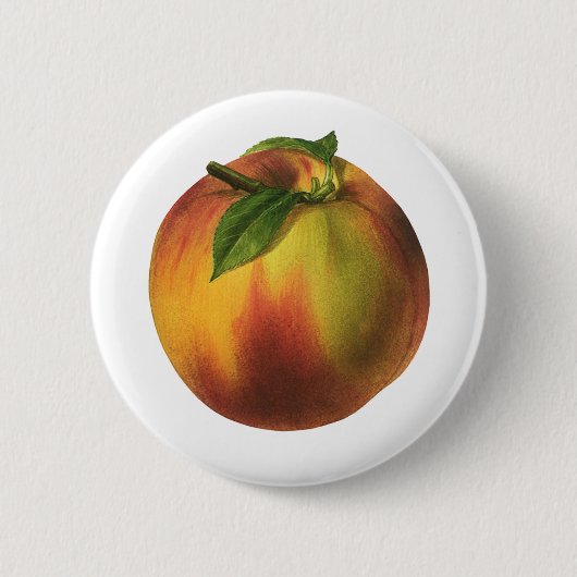 ヴィンテージ果実熟オーガニック桃 缶バッジ (正面)