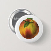 ヴィンテージ果実熟オーガニック桃 缶バッジ (正面&裏面)