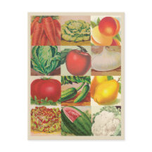 ヴィンテージ果実野菜イラスト