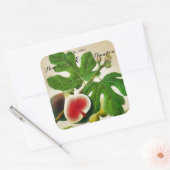 ヴィンテージ果樹園結婚園 スクエアシール (封筒)