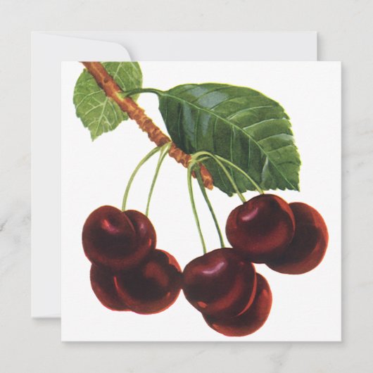 ヴィンテージ果物食品、木から熟したさくらんぼ (正面)