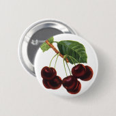 ヴィンテージ果物食品、木から熟したさくらんぼ 缶バッジ (正面&裏面)