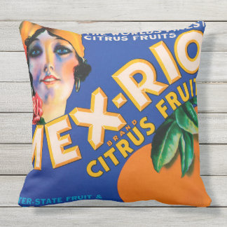 ヴィンテージ果箱投げクッション クッション