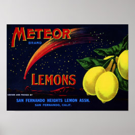 ヴィンテージ果輪状ラベルプリント ポスター