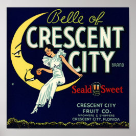 ヴィンテージ果輪状ラベルプリント ポスター