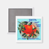 ヴィンテージ果輪状ラベル磁石 マグネット (正面/裏面)