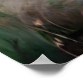 ヴィンテージ柔ら絵を描かなピンクのバラ ポスター (角)