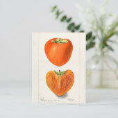 ヴィンテージ柿フルーツウォーター絵画カラー ポストカード (スタンド正面)